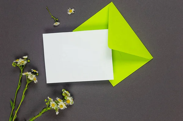 グレーの背景にテキストやデイジーの花束のための空の白いカードと緑の封筒 空白の招待状またはコピースペースでのグリーティングカードのモックアップ — ストック写真