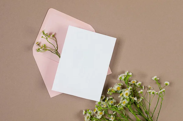Envelope Rosa Com Cartão Branco Vazio Para Texto Buquê Margaridas — Fotografia de Stock
