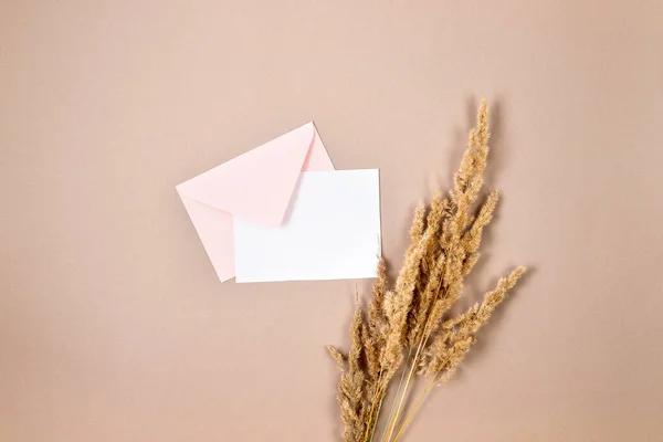Рожевий Конверт Порожньою Білою Карткою Тексту Сухими Колосками Декоративними Гарбузами — стокове фото