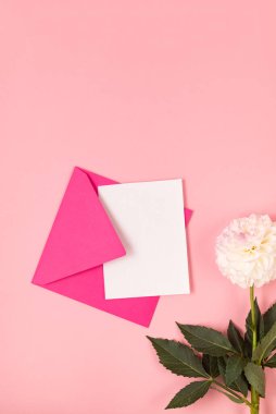 Beyaz ve mor yıldız çiçekleri ve pembe arka planda boş beyaz kartı olan pembe zarf. Boş davet veya kopyalama alanı olan tebrik kartı modeliName