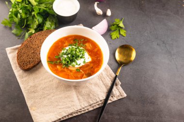Geleneksel Ukrayna usulü, ekşi kremalı ve beyaz kasede otlu sıcak kırmızı borç.. 