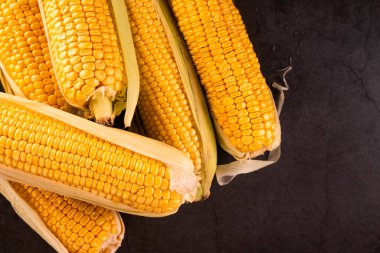 Taze mısır koçanları Kara Masa 'da Yaz Hasadı