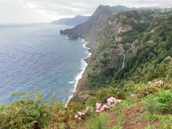 Quinta do Furao, Santana, Madeira, Portekiz 'de deniz ve kayalıkları, pembe zambak çiçekleri ve şelalesi olan güzel bir manzara..