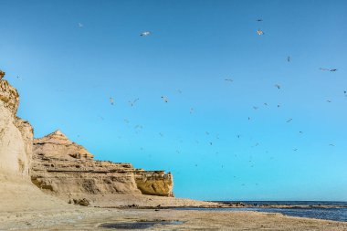 Patagonya sahilinde gün batımında bir sürü kuş ve deniz aslanı olan güzel bir uçurum. Yarımada Valdes, Arjantin 'in Puerto Madryn yakınlarında Chubut' un vahşi yaşam rezervi..