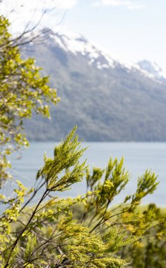 Vertical landscape of Puelo Lake -Lago Puelo-National Park during spring with green trees and blurry snowy mountains in the background. Argentinian Andes, Chubut, Patagonia Argentina. Background with copy space clipart