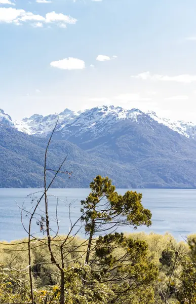 Baharda Puelo Gölü - Lago Puelo Ulusal Parkı 'nın dikey manzarasında yeşil ağaçlar ve arka planda bulanık karlı dağlar. Arjantin And Dağları, Chubut, Patagonya Arjantin. Kopyalama alanı olan arkaplan