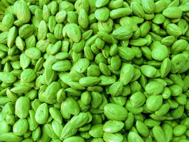 Petai or bitter bean or stink bean, is a plant of the genus Parkia in the family Fabaceae, this edible beans have a strong smell due to sulfur-containing compounds. clipart