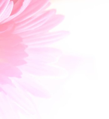 Arkaplan kullanımı için bulanık pembe kumaş Gerbera çiçeği