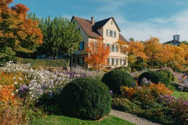 House with nice garden in fall. Flowers in the Park. Bietigheim-Bissingen. Germany, Europe. Autumn Park and house, nobody, bush and grenery clipart