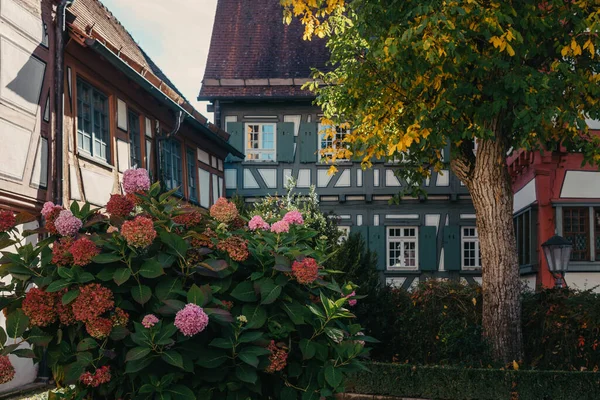 Rumah Dengan Taman Yang Bagus Musim Gugur Bunga Taman Ini — Stok Foto