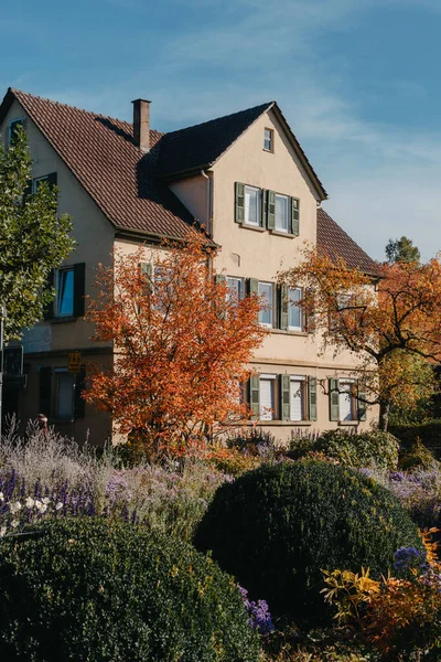 秋天有漂亮花园的房子 公园里的花比斯特内姆 比辛根德国 秋天的公园和房子 没有人 灌木丛和坏疽 — 图库照片