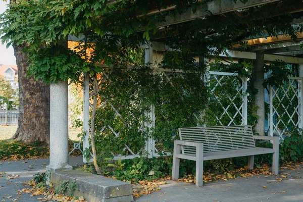 Bangku Taman Putih Dengan Dinding Batu Dan Daun Hijau Ivy — Stok Foto