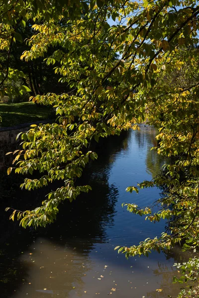 Vista Árvore Sobre Água Pequeno Rio Calmo Com Árvores Bancos — Fotografia de Stock