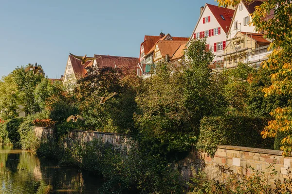 Eski ulusal Alman kasaba evi. Old Town renkli ve iyi korunmuş binalarla dolu. Baden-Wurttemberg, Almanya 'nın güneybatısında bulunan bir eyalettir. Kara Orman, bilinen adıyla