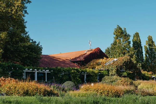 Casa Con Bonito Jardín Otoño Flores Parque Bietigheim Bissingen Alemania —  Fotos de Stock