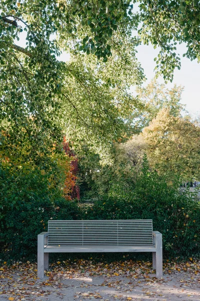 Biała Ławka Parkowa Kamienną Ścianą Zielonymi Liśćmi Bluszczu Cichej Okolicy — Zdjęcie stockowe