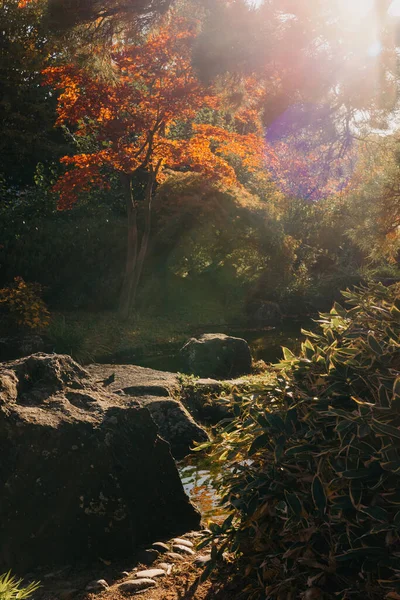 春の日本庭園の美しい穏やかなシーン 日本の秋のイメージ 池と紅葉が美しい日本庭園 日本庭園の池 — ストック写真
