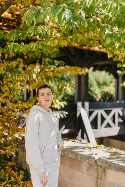 Όμορφη Κομψή Γυναίκα Στέκεται Ένα Πάρκο Φθινόπωρο Φθινοπωρινά Κίτρινα Φύλλα — Φωτογραφία Αρχείου