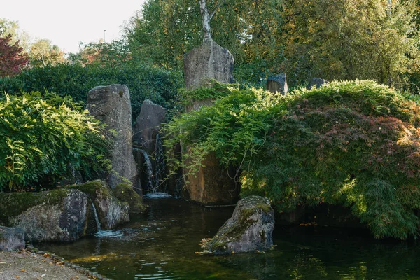 Malownicze Ogrody Stylu Japońskim Wodospadem Parku Jesienią Japoński Ogród Wodny — Zdjęcie stockowe