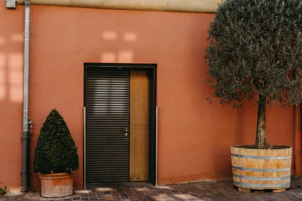 Wajah Rumah Modern Dengan Pintu Depan Abu Abu Dan Bunga — Stok Foto