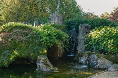 Bahar Japon bahçesinde güzel sakin bir manzara. Japonya sonbahar görüntüsü. Göleti ve kırmızı yaprakları olan güzel bir Japon bahçesi. Japon bahçesindeki gölet..