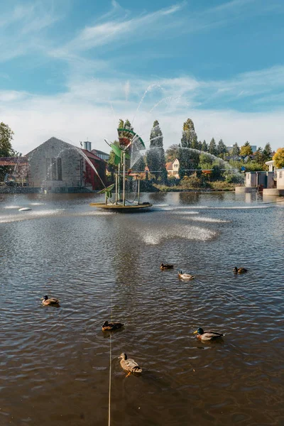 stock image Ducks on the lake in the park. Park in the fall. Autumn trees. Wild ducks are reflected in the lake. Multi-colored bird feathers. A pond with wild ducks and drakes. A duck lake full of beautiful ducks