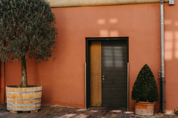 Wajah Rumah Modern Dengan Pintu Depan Abu Abu Dan Bunga — Stok Foto