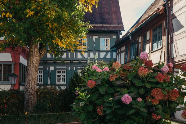 Rumah Dengan Taman Yang Bagus Musim Gugur Bunga Taman Ini — Stok Foto