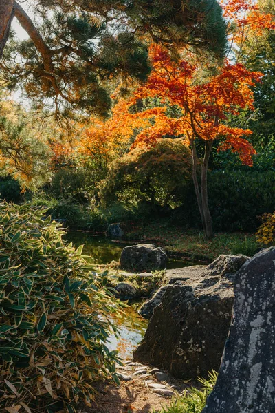 Hermosa Escena Tranquila Jardín Japonés Primavera Japón Imagen Otoño Hermoso — Foto de Stock