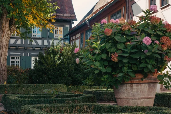 Dům Pěknou Zahradou Podzim Květiny Parku Bietigheim Bissingen Německo Evropa — Stock fotografie