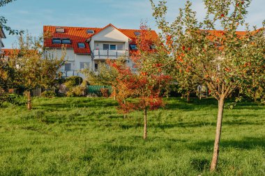 Old white cottage in cozy town. Street view landscape old city, little houses on sunset. Old architecture street front view. Calm old town street. Stone white pink rural cottages and summer gardens.