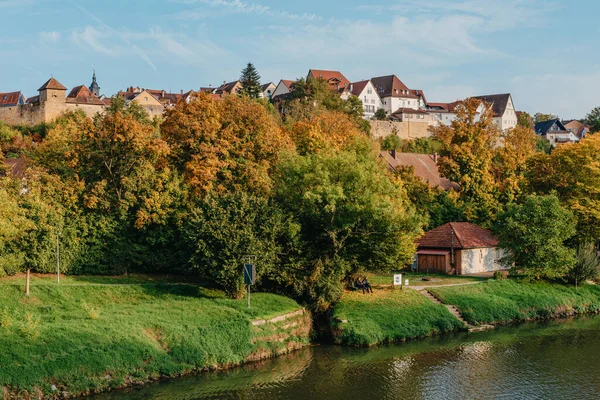 Autumn Landscape - River And Shores With Trees, Bushes And City Houses Marbach Am Neckar. Panoramic Aerial View Of The River In A City Park. Deciduous Trees, Golden Leaves. Autumn Landscape. Ecology