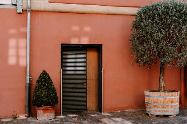 Gri Bir Kapısı Saksı Çiçekleri Olan Modern Bir Evin Cephesi — Stok fotoğraf