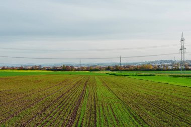 Güzel bir sonbahar tarlası, arka planda çimenler ve kır çiçekleri günbatımı gökyüzünde elektrik kabloları olan elektrik kulesi. Sonbahar güneşinde çimenlikte yabani otlar ve otlar. Huzur