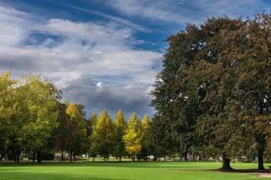 Sakin bir sonbahar sezonu. Sonbahar ormanlarında yolu olan güzel bir manzara. Yeşil, sarı ve turuncu yapraklı akçaağaçlar ve huş ağaçları güneşli bir günde ağaçlık alanda yürür.