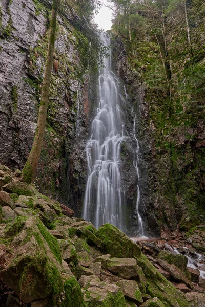 針葉樹林のバーグバッハ滝は 花崗岩の岩の上を落下し ドイツのブラックフォレストのバート リッポルダウ シャップバッハ近くの谷に落ちます ドイツ 驚くほど美しい自然の滝と呼ばれる — ストック写真