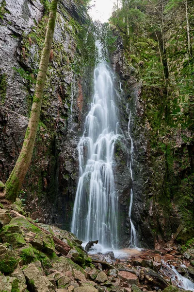 Burgbach Vodopád Jehličnatém Lese Padá Přes Žulové Skály Údolí Nedaleko — Stock fotografie