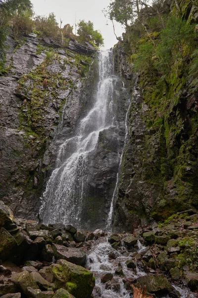 Cachoeira Floresta Cachoeira Burgbach Perto Schapbach Floresta Negra Baden Wurttemberg — Fotografia de Stock