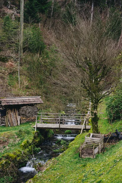 Das Wasser Des Gebirgsflusses Fließt Grünen Alpenwald Flusswasserfall Waldlandschaft Malerischer — Stockfoto