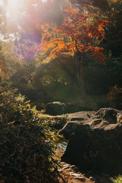 春の日本庭園の美しい穏やかなシーン 日本の秋のイメージ 池と紅葉が美しい日本庭園 日本庭園の池 — ストック写真