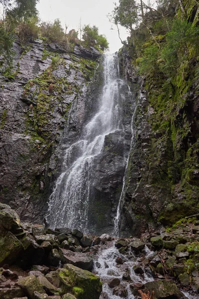 Vodopád Lese Burgbachův Vodopád Schapbachu Černý Les Bádensko Wurtembersko Německo — Stock fotografie