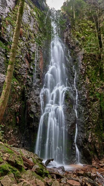 Burgbach Vodopád Jehličnatém Lese Padá Přes Žulové Skály Údolí Nedaleko — Stock fotografie