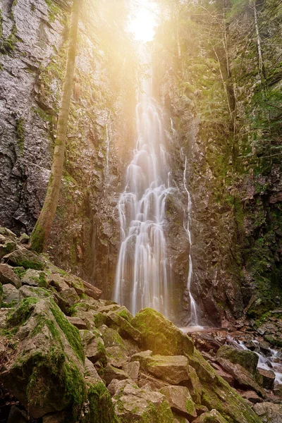針葉樹林のバーグバッハ滝は 花崗岩の岩の上を落下し ドイツのブラックフォレストのバート リッポルダウ シャップバッハ近くの谷に落ちます ドイツ 驚くほど美しい自然の滝と呼ばれる — ストック写真