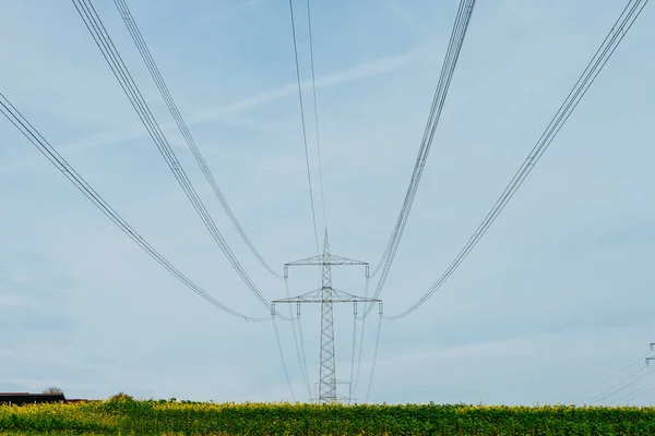 High voltage power lines leading through a green field. Transmission of electricity by means of supports through agricultural areas.