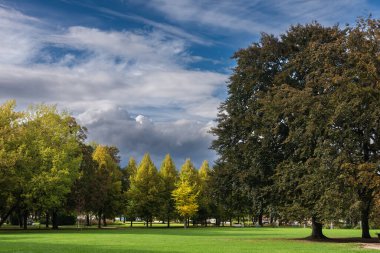 Sakin bir sonbahar sezonu. Sonbahar ormanlarında yolu olan güzel bir manzara. Yeşil, sarı ve turuncu yapraklı akçaağaçlar ve huş ağaçları güneşli bir günde ağaçlık alanda yürür.