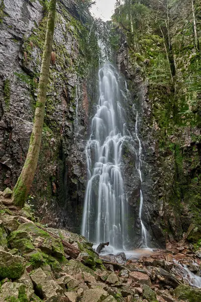 Burgbach Cascade Dans Forêt Conifères Tombe Sur Les Roches Granit — Photo