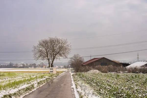 stock image Winter Symphony: Snow-Covered Fields, Rural Roads, and Christmas Delight