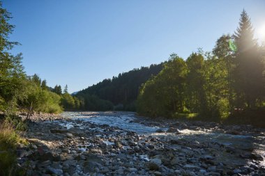 Alp Oasis: Rocky Sahilleri ve Ormanları arasında Dağ Nehirleri Yolculuğu. Yaz Dinginliği Yakalandı: Alpine Nehri, Rocky Sahilleri ve Kule Ormanları. Doğa Senfonisi Tanımlandı: Dağ Nehri, Ladin