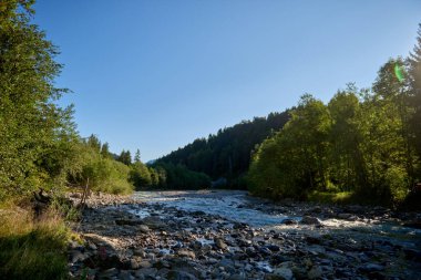 Alp Oasis: Rocky Sahilleri ve Ormanları arasında Dağ Nehirleri Yolculuğu. Yaz Dinginliği Yakalandı: Alpine Nehri, Rocky Sahilleri ve Kule Ormanları. Doğa Senfonisi Tanımlandı: Dağ Nehri, Ladin