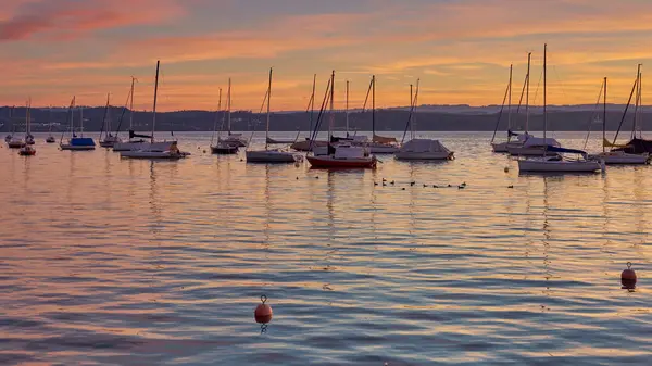 Bodensee Gölü Panorama. Akşam, alacakaranlık, batan güneş, manzara, sakin sular, rıhtımda tekneler ve yatlar, suda yansıyan bulutlar, alacakaranlıkta nehir kenarı.